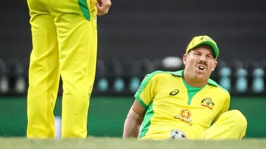 Australia's David Warner reacts after he suffered an injury during the one-day cricket match against India at the Sydney Cricket Ground (SCG) in Sydney