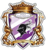 Fotbol Club Timisoara