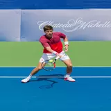 Aljaz  Bedene