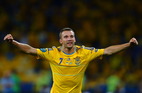 Shevchenko The Home Hero