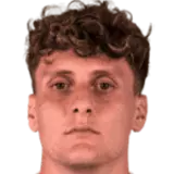 Gabriele Piccinini