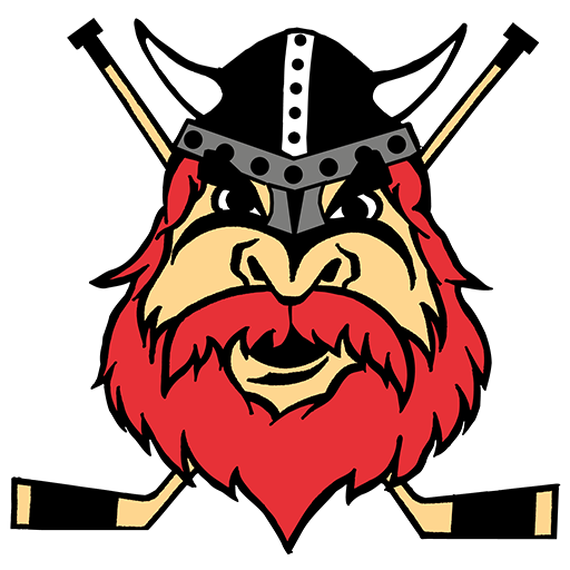 Nybro Vikings IF
