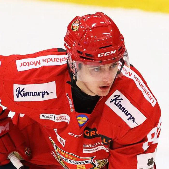 Ludvig Hedström