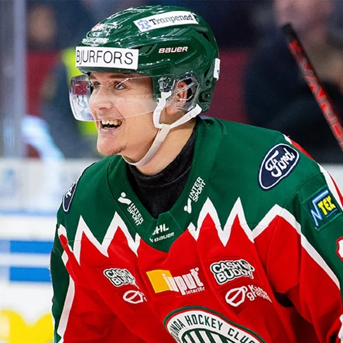Erik Borg