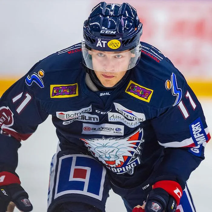 Henrik Törnqvist