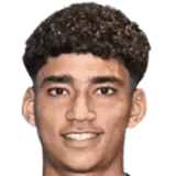 K. Ayari