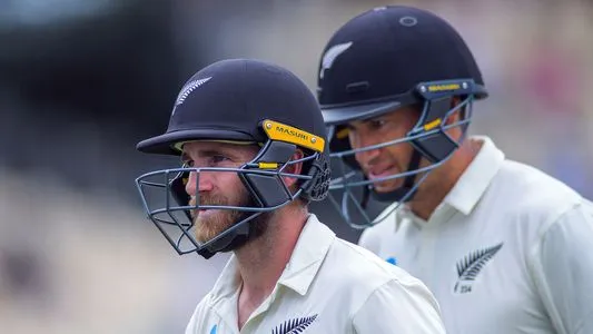 New Zealand's Kane Williamson and Ross Taylor walk in as rain stops play New Zealand v England