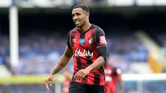 Callum Wilson Would be Perfect for Newcastle United
