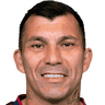G. Medel