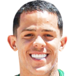 Wallisson Luiz Alves Máximo