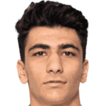 Amirmohammad Razzaghinia